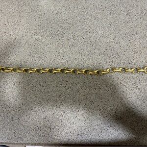 COACH signature “C” logo link bag chain